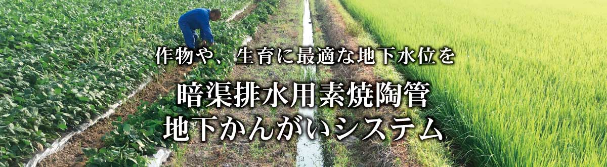 作物や、生育に最適な地下水位を　暗渠排水用素焼陶管
地下かんがいシステム
